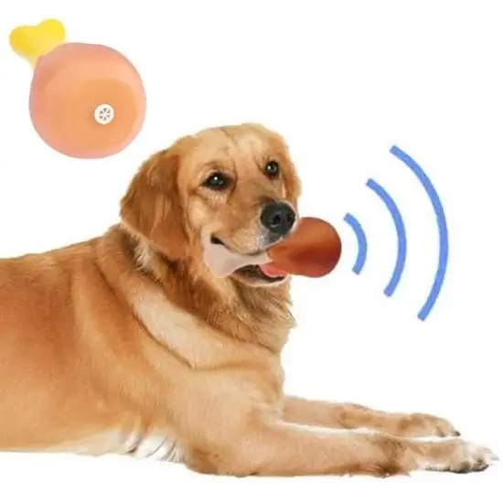 Buffer Köpekler İçin Oyuncak Tavuk Budu Buffer Köpekler İçin Oyuncak Tavuk Budu