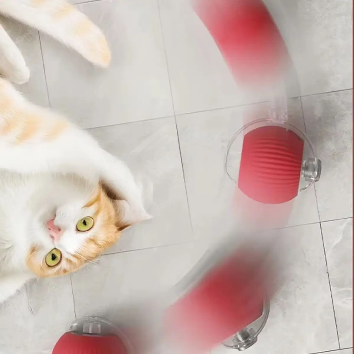 BUFFER® Şarjlı Otomatik Hareketli Kedi Köpek İçin 360 Derece Dönen İnteraktif Akıllı Oyun Topu BUFFER® Şarjlı Otomatik Hareketli Kedi Köpek İçin 360 Derece Dönen İnteraktif Akıllı Oyun Topu