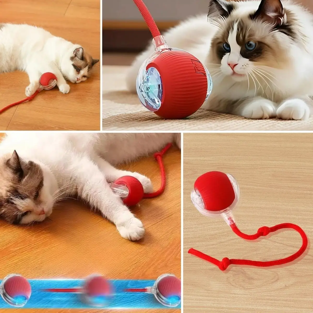 BUFFER® Şarjlı Otomatik Hareketli Kedi Köpek İçin 360 Derece Dönen İnteraktif Akıllı Oyun Topu BUFFER® Şarjlı Otomatik Hareketli Kedi Köpek İçin 360 Derece Dönen İnteraktif Akıllı Oyun Topu