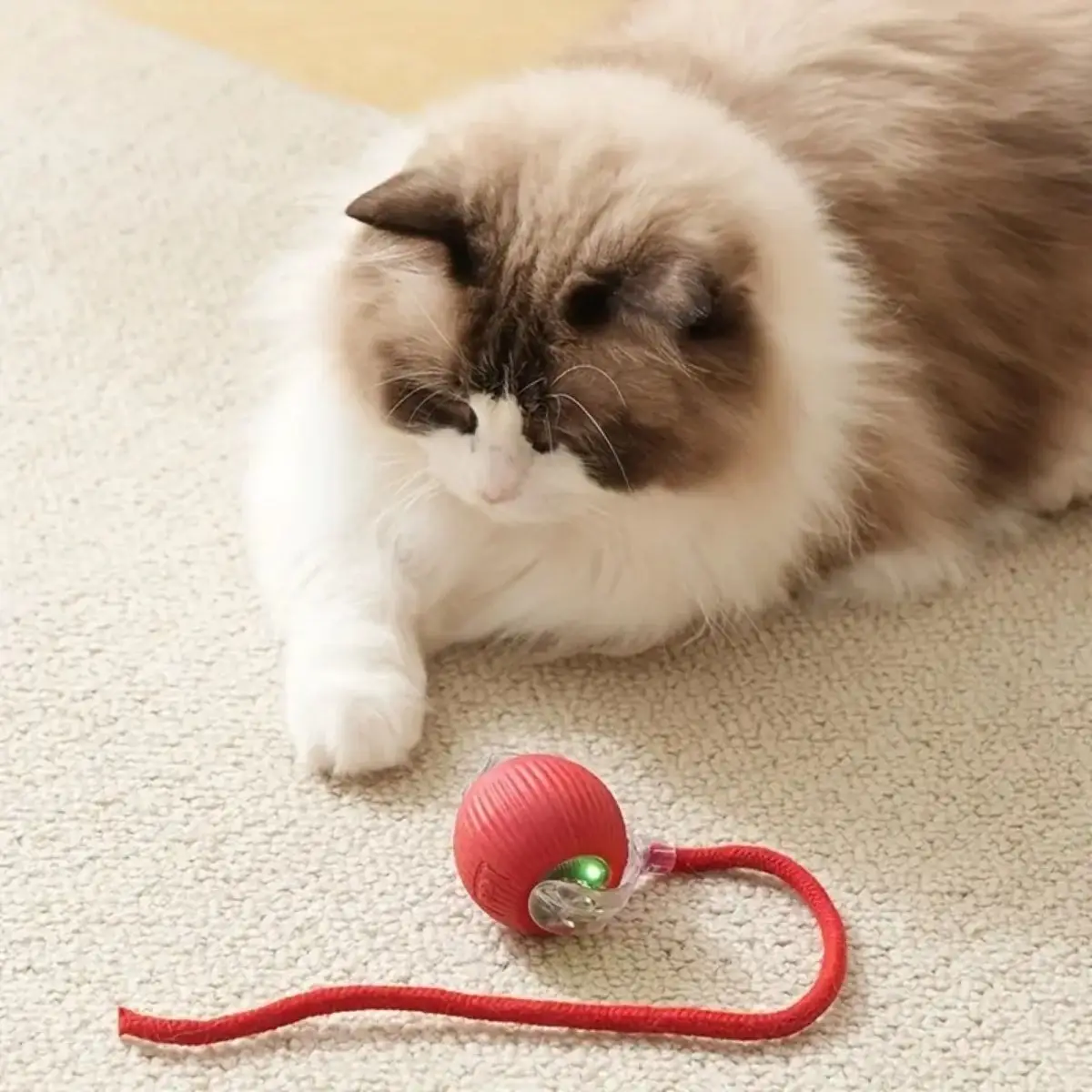 BUFFER® Şarjlı Otomatik Hareketli Kedi Köpek İçin 360 Derece Dönen İnteraktif Akıllı Oyun Topu BUFFER® Şarjlı Otomatik Hareketli Kedi Köpek İçin 360 Derece Dönen İnteraktif Akıllı Oyun Topu