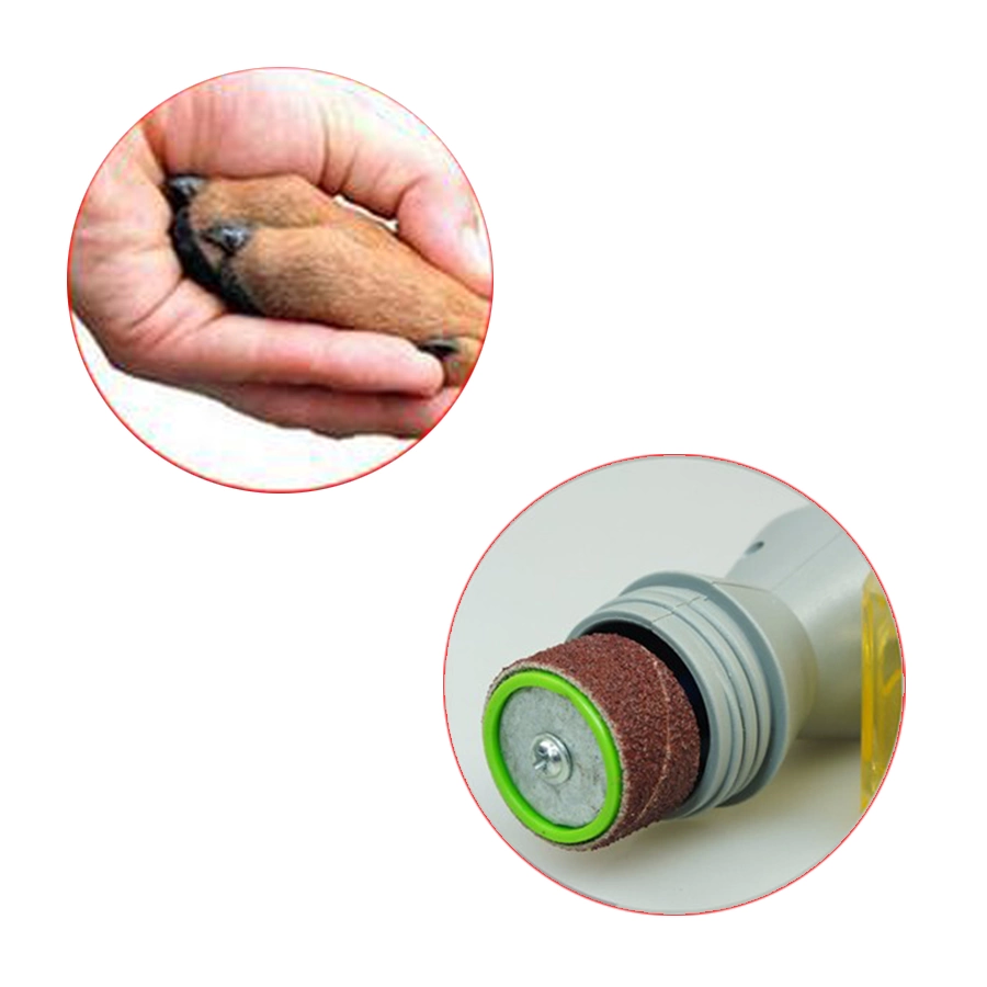 Pedi Paws Kedi Köpek Evcil Hayvan Tırnak Törpüsü Düzeltici Pedi Paws Kedi Köpek Evcil Hayvan Tırnak Törpüsü Düzeltici
