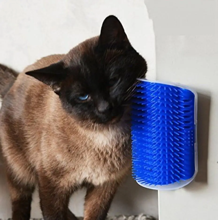 Shed Pal Kedi Kaşınma Aparatı Shed Pal Kedi Kaşınma Aparatı