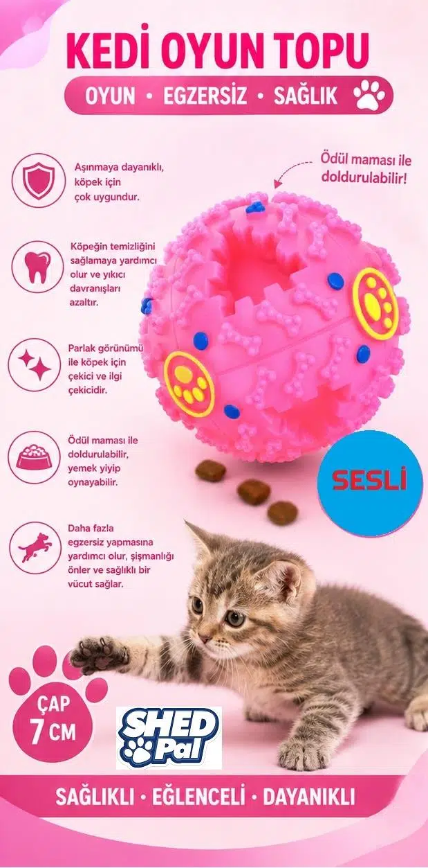 Shed Pal Sesli Mama Oyun Topu Pembe