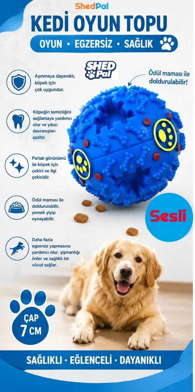 Shed Pal Sesli Mama Oyun Topu Mavi