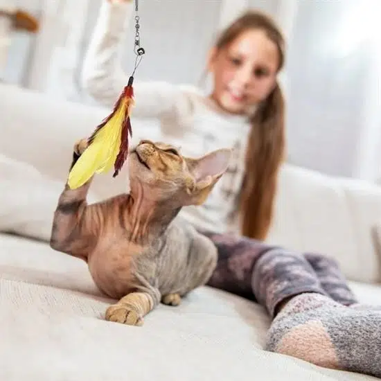 Süslüpati Tüylü Çanlı Ayarlanabilir Peluş Kedi Oyun Oltası Süslüpati Tüylü Çanlı Ayarlanabilir Peluş Kedi Oyun Oltası