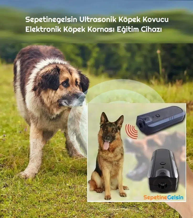 Sepetinegelsin Ultrasonik Köpek Kovucu Elektronik Köpek Kornası Eğitim Cihazı